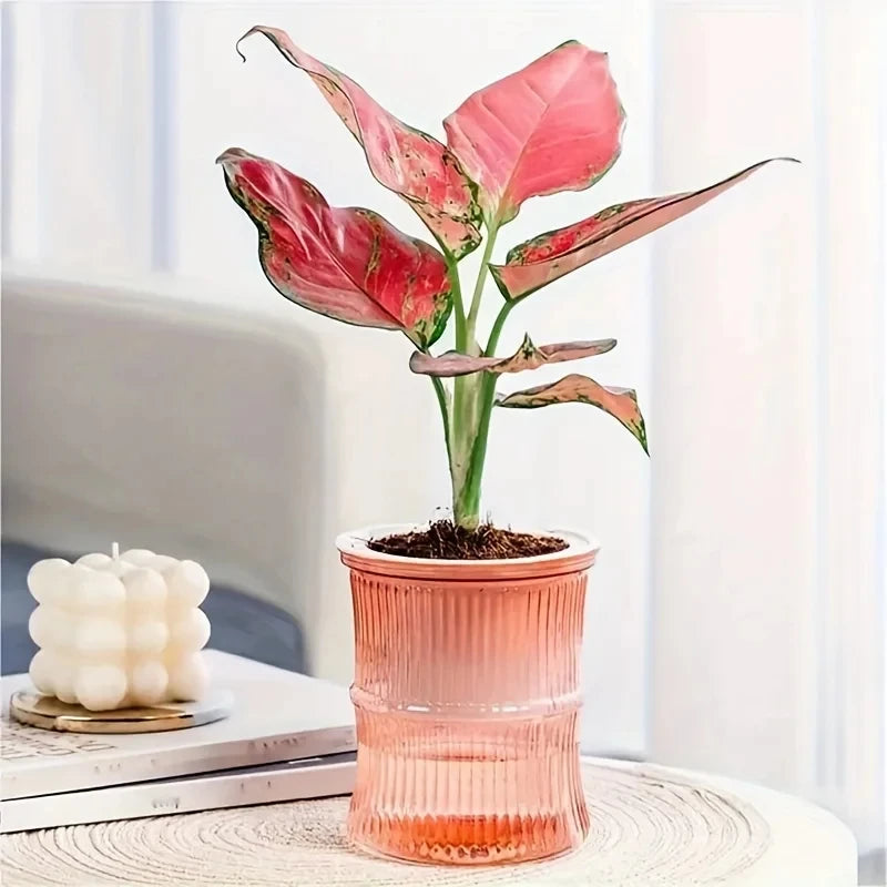 Pot de Fleurs Design Coloré - Cache Pot Plante Intérieur