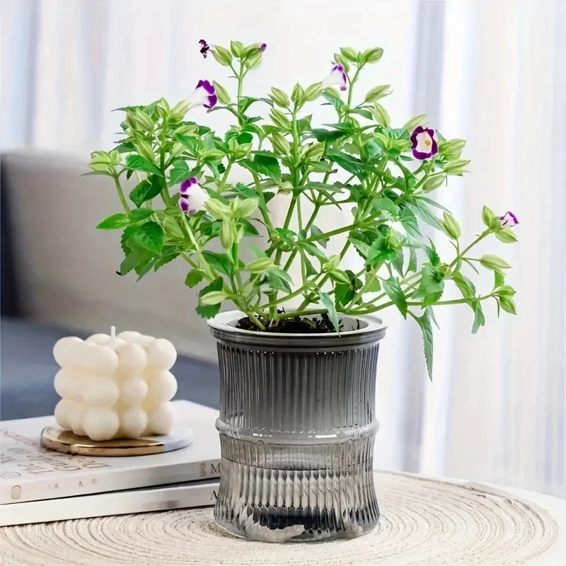 Pot de Fleurs Design Coloré - Cache Pot Plante Intérieur