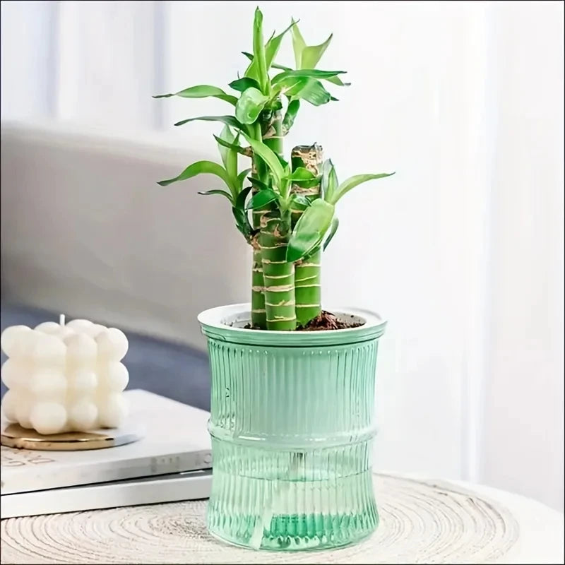 Pot de Fleurs Design Coloré - Cache Pot Plante Intérieur